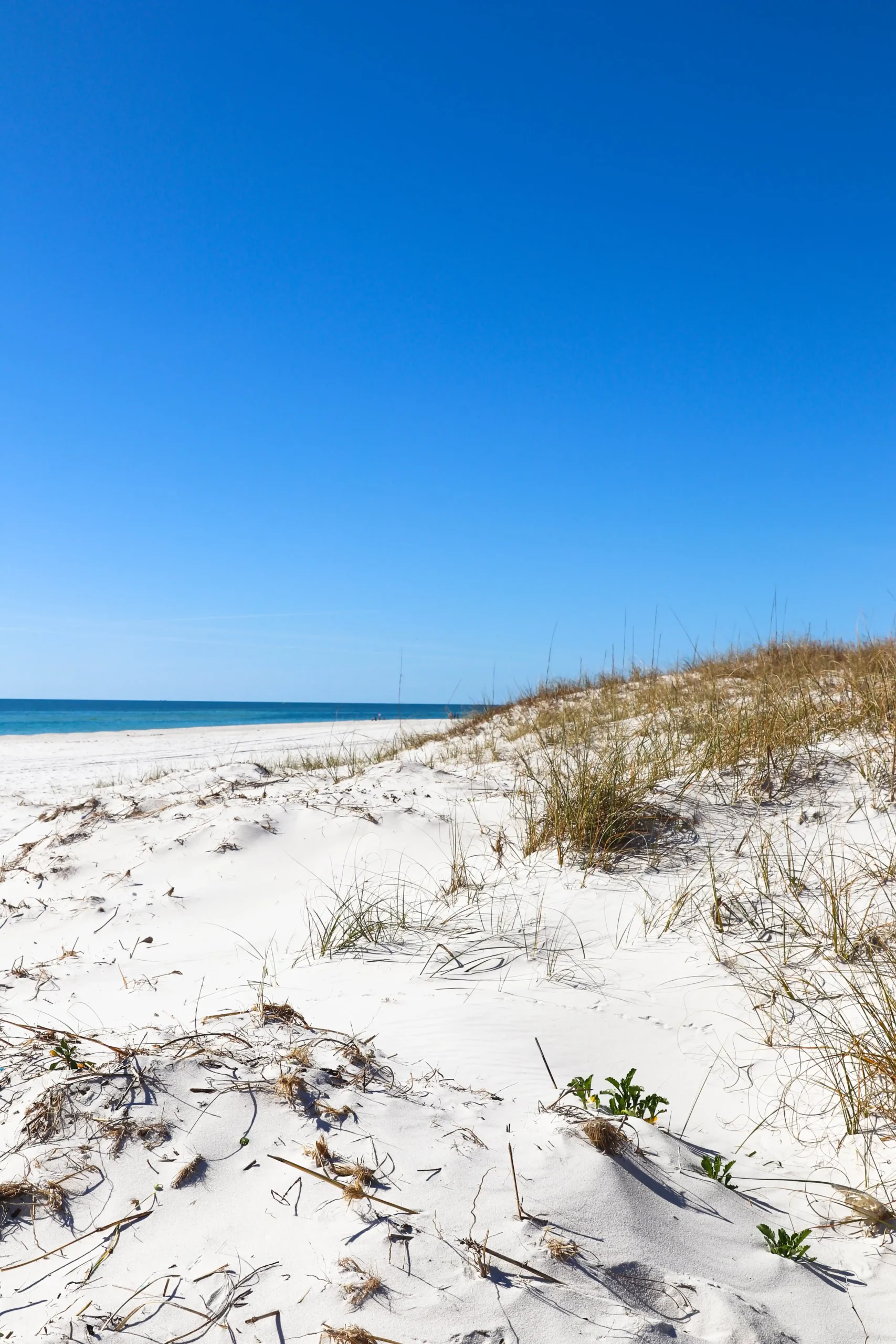 Paddleboarding on Coastal Dune Lakes